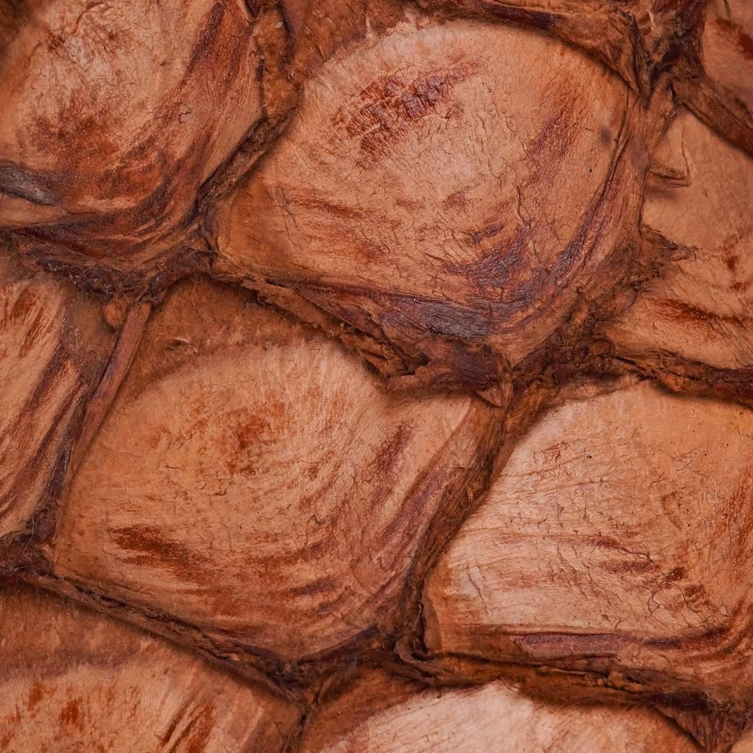 100% AUTHENTIC Brown Pirarucu Skin Boots