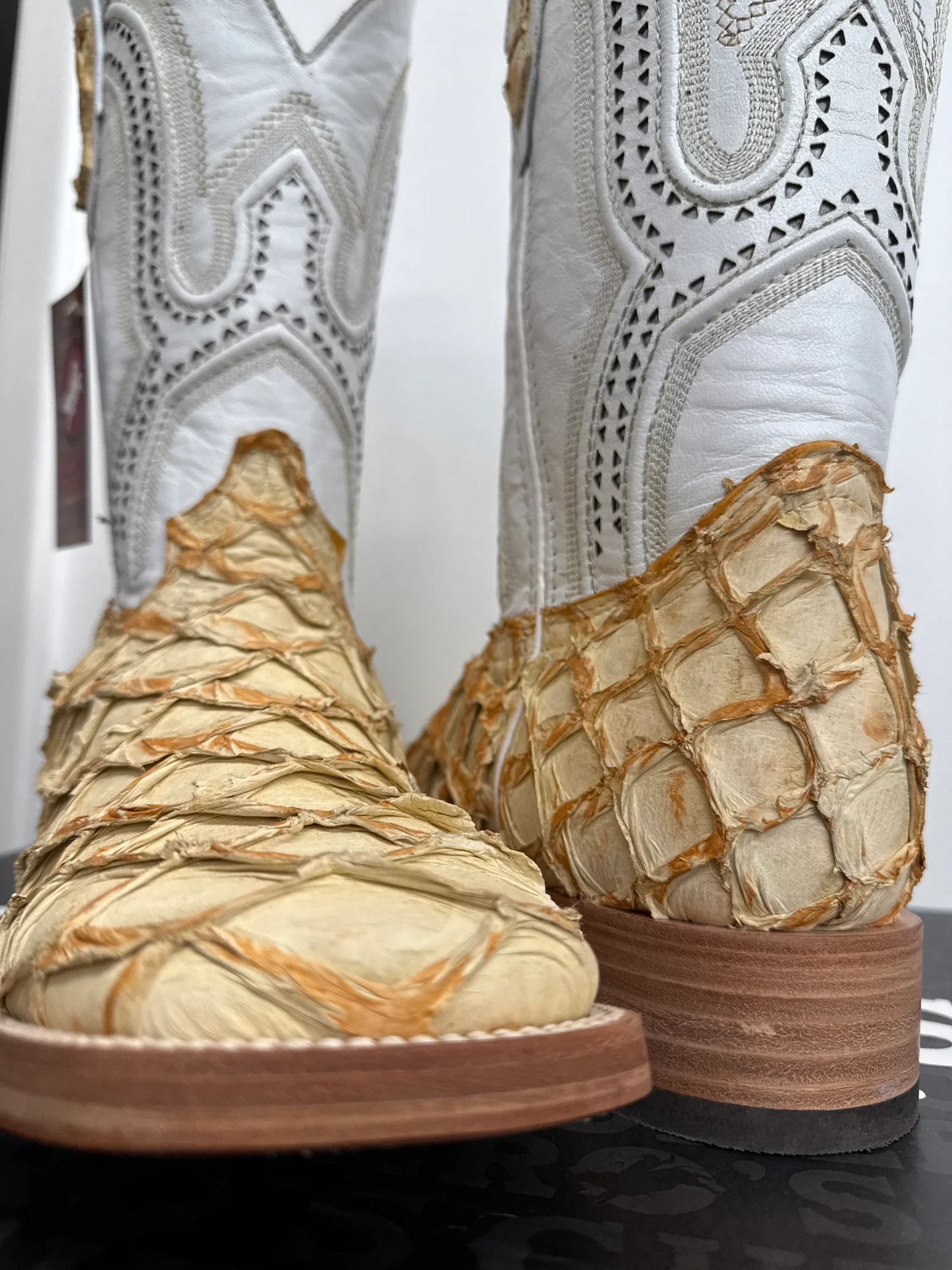 Premium Exotic Pirarucu White Castor