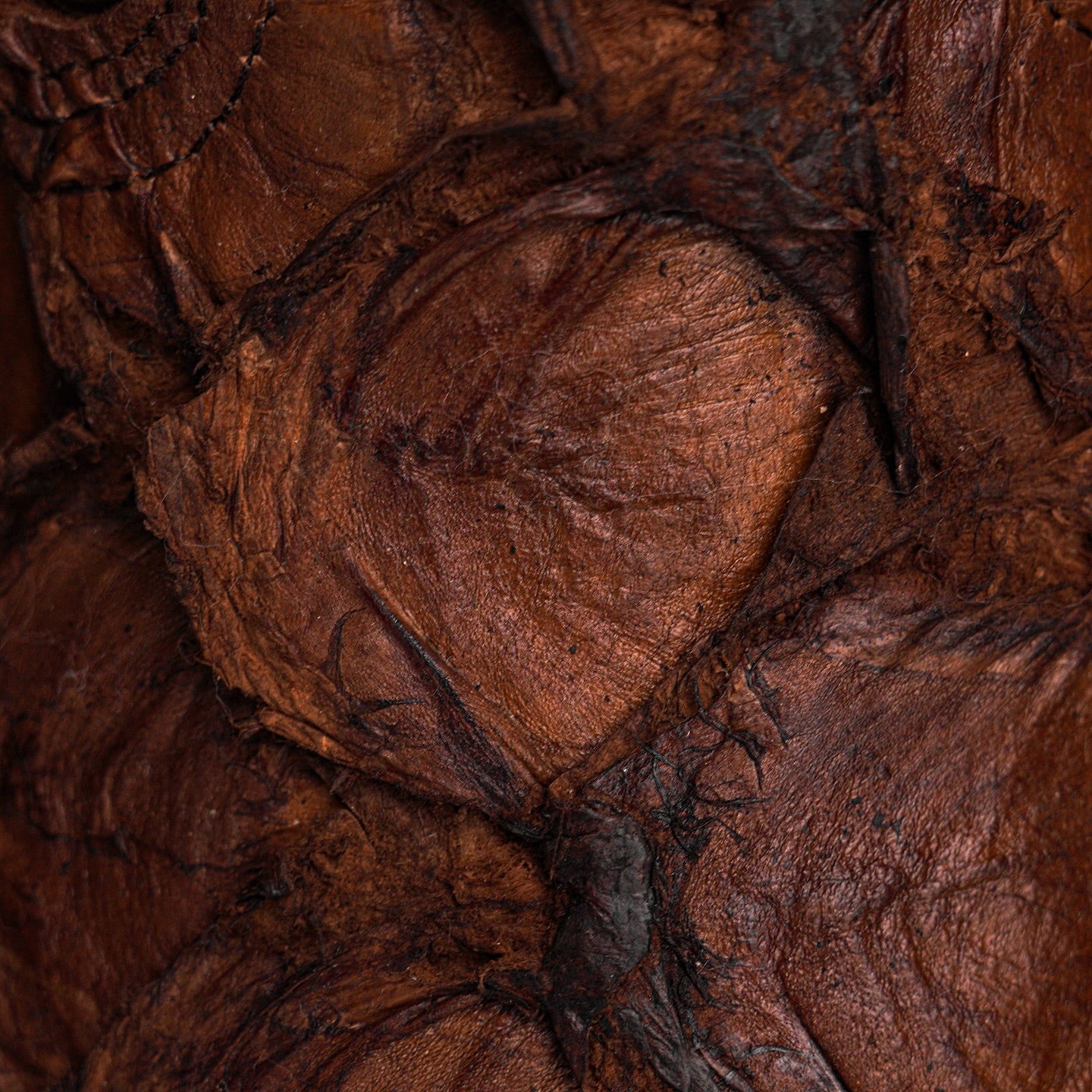 Artisan Espresso Piraroucu Square Toe Boots