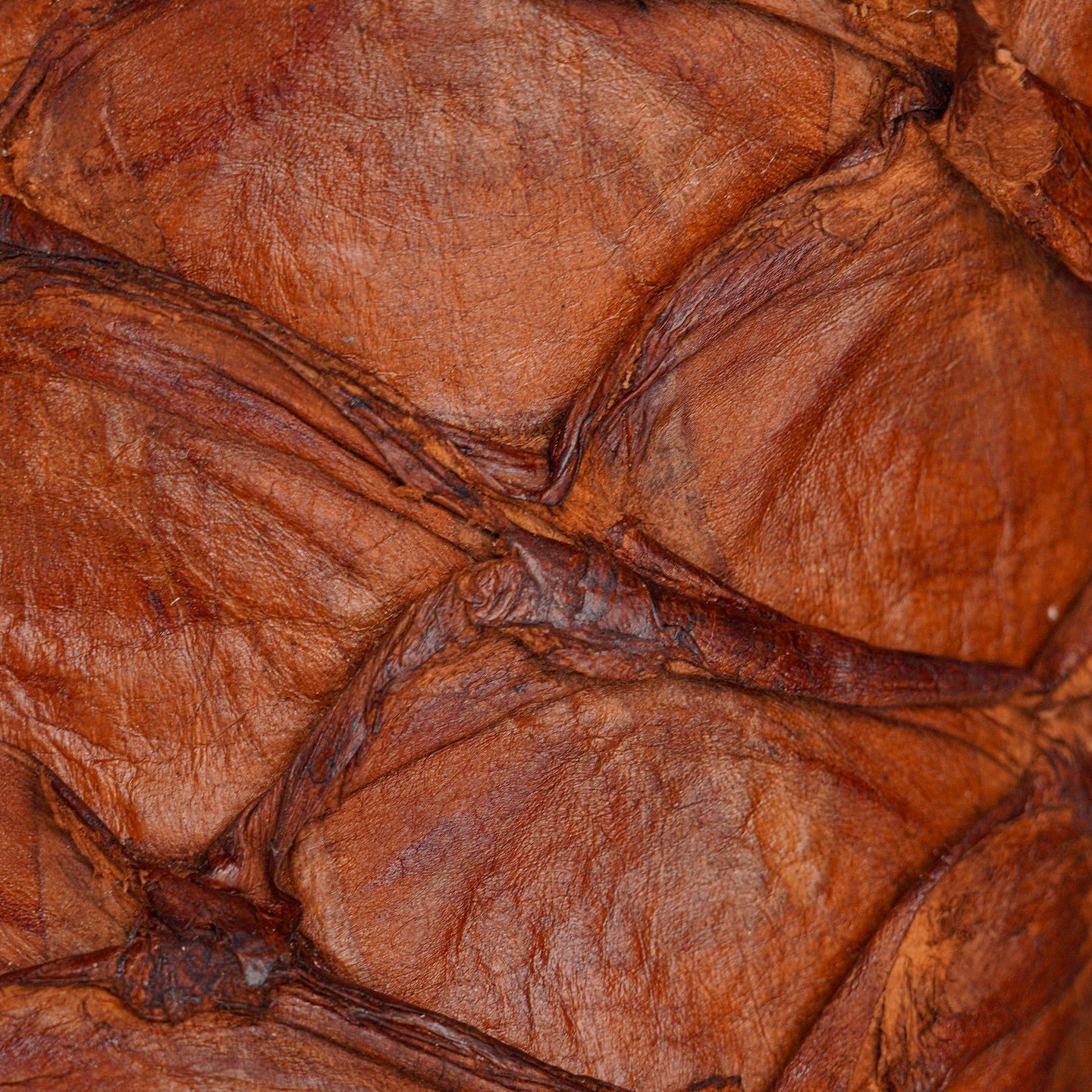 Handcrafted Copper Crocodile Skin Embroidered Boots