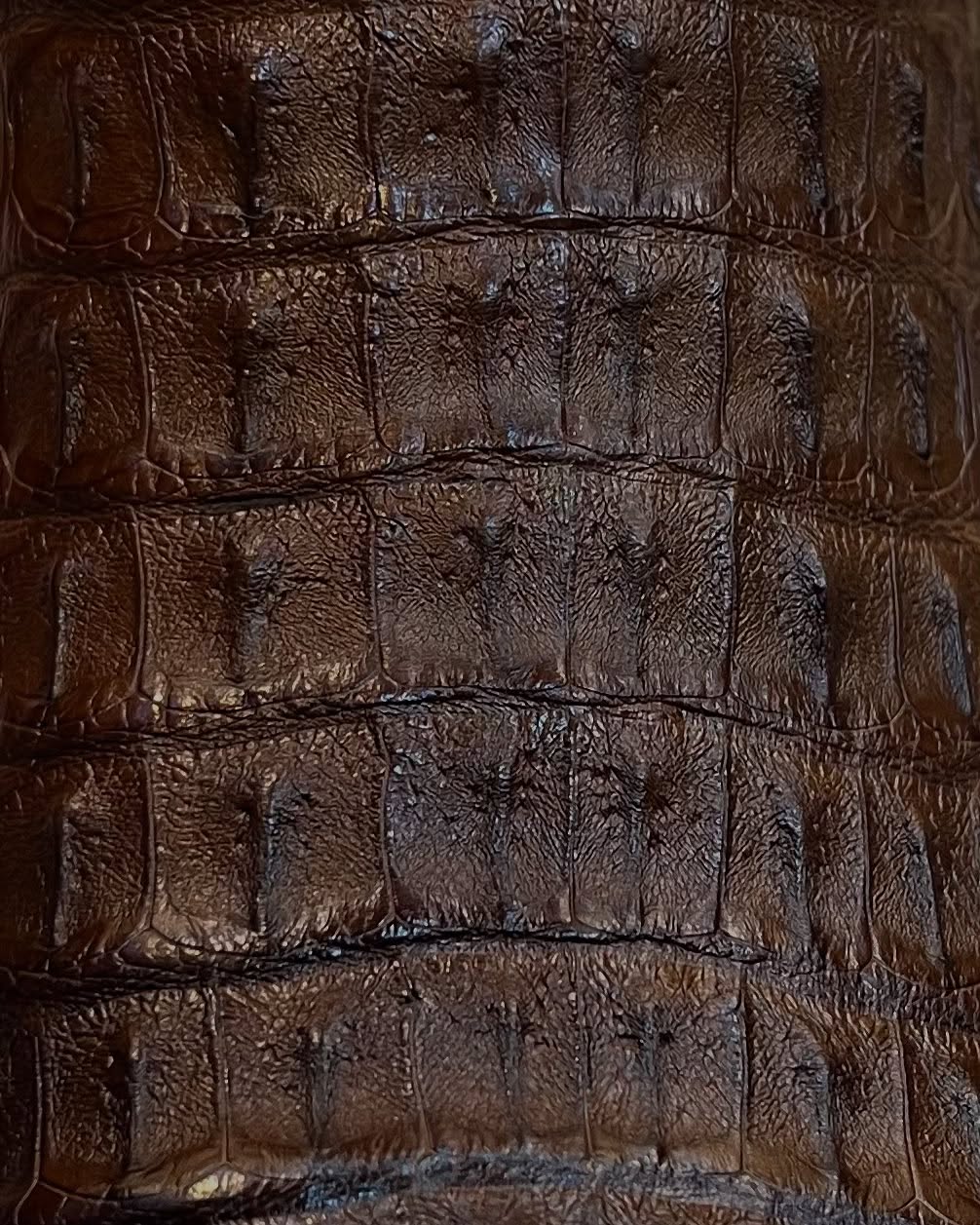 Roma Crocodile Cowboy Boots – Dark Chocolate, Square Toe