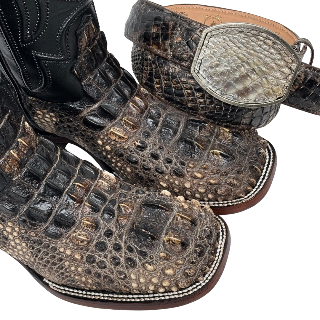 Bulldog Nuca de Alligator Natural